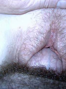 .  3 